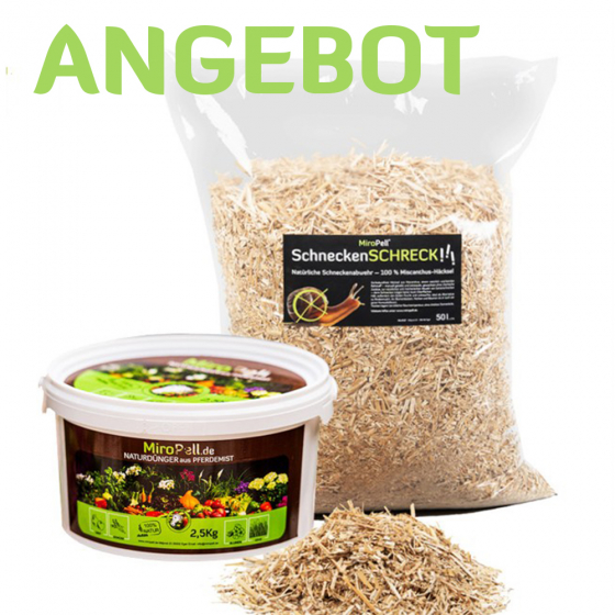 Kombipaket -...