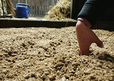 anwendung der pellets